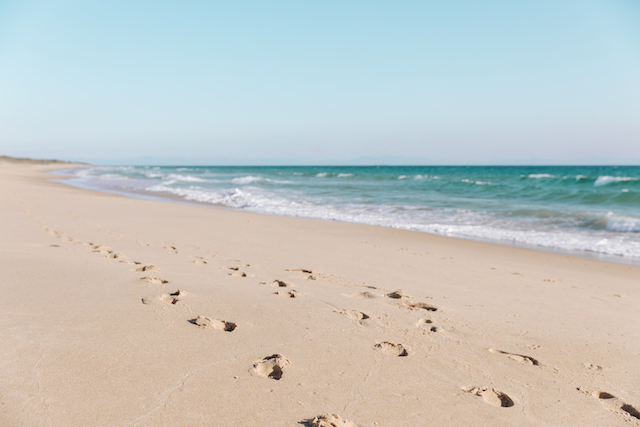 a sandy beach with footprints.