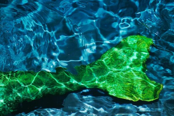 A green mermaid tail underwater.